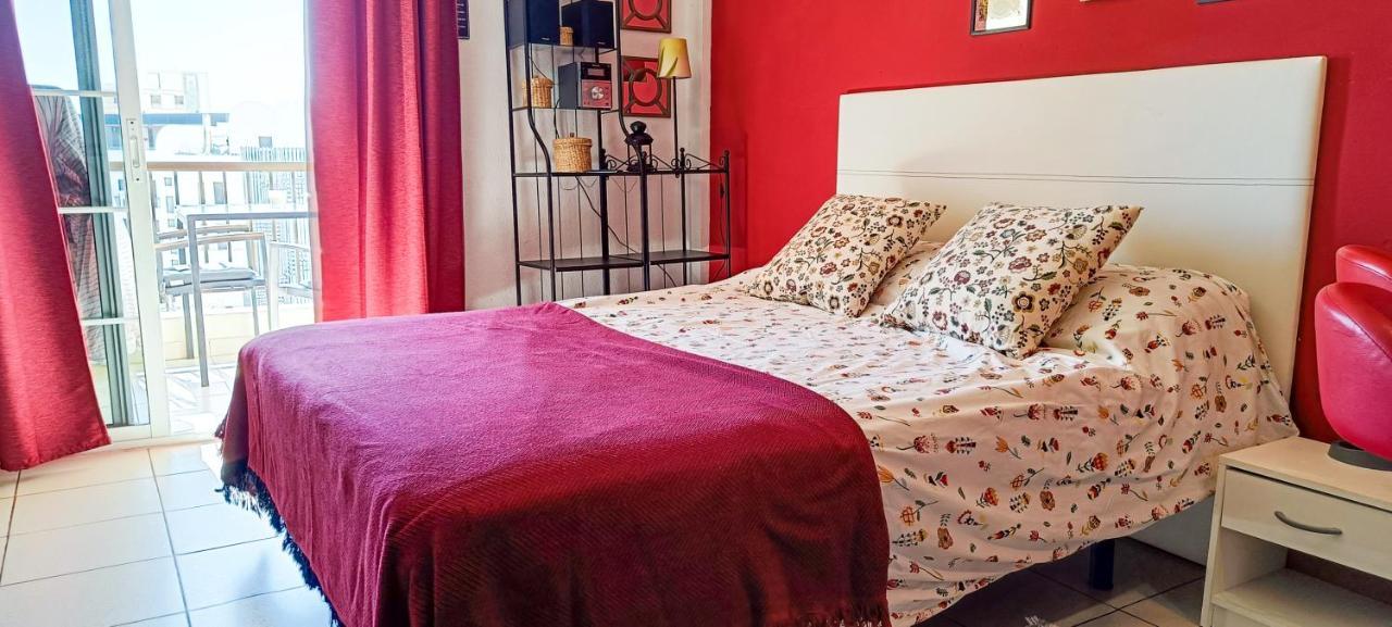 Cozy Studio Las Americas 美洲海滩 外观 照片