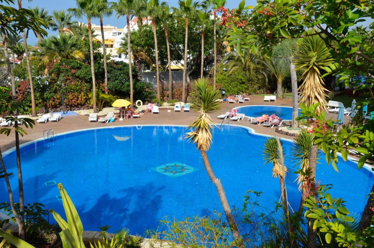 Cozy Studio Las Americas 美洲海滩 外观 照片